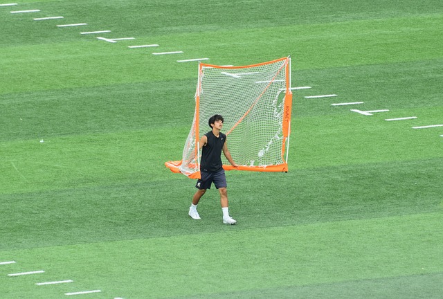 如何应对青